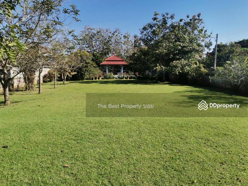 ขาย - ที่ดินในเมือง ลำพูน, ลำพูน