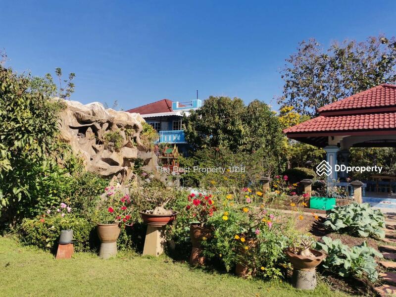 ขาย - ที่ดินในเมือง ลำพูน, ลำพูน