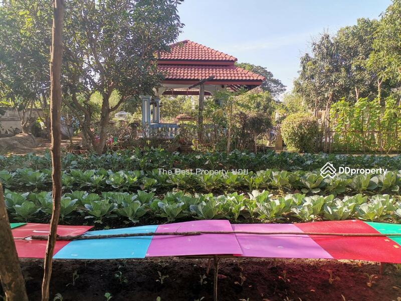 ขาย - ที่ดินในเมือง ลำพูน, ลำพูน
