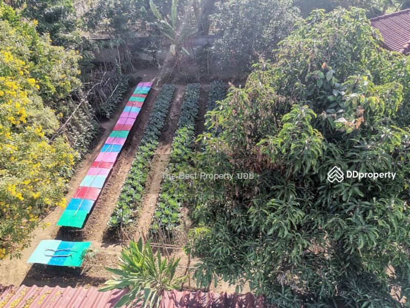ขาย - ที่ดินในเมือง ลำพูน, ลำพูน