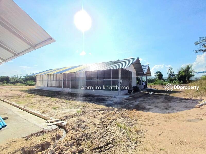 For Sale - S1855 Land for sale/rent with a house and building, next to a rural highway, Lampang Province., Lampang