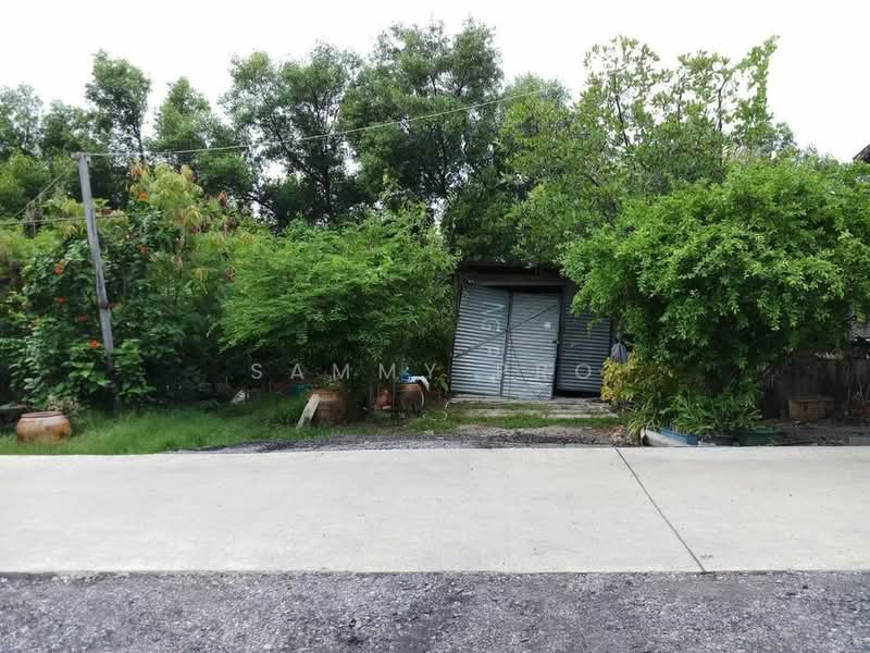 105560, Samut Prakan, Khlong Dan, Bang Bo, Samut Prakan, , 500 sqm, Land For Sale, by Sammy Pro, 11798962 - DDproperty.com