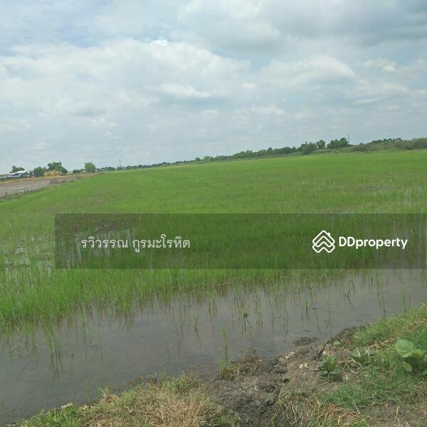 For Sale - Land for Sale:Nong Chok (Close to Soi Phadungphan 21) 43 Rais 3 ngan 95 sq.wa, BANGKOK, Bangkok