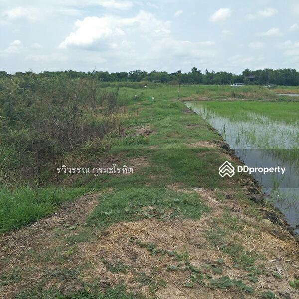For Sale - Land for Sale:Nong Chok (Close to Soi Phadungphan 21) 43 Rais 3 ngan 95 sq.wa, BANGKOK, Bangkok