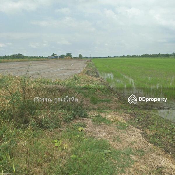 ขาย - ที่ดินหนองจอก ข้างซอยผดุงพันธ์21: 43 ไร่ 3 งาน 95 ตร.วา, กรุงเทพ, กรุงเทพ