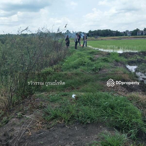 For Sale - Land for Sale:Nong Chok (Close to Soi Phadungphan 21) 43 Rais 3 ngan 95 sq.wa, BANGKOK, Bangkok