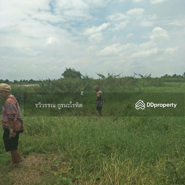 For Sale - Land for Sale:Nong Chok (Close to Soi Phadungphan 21) 43 Rais 3 ngan 95 sq.wa, BANGKOK, Bangkok