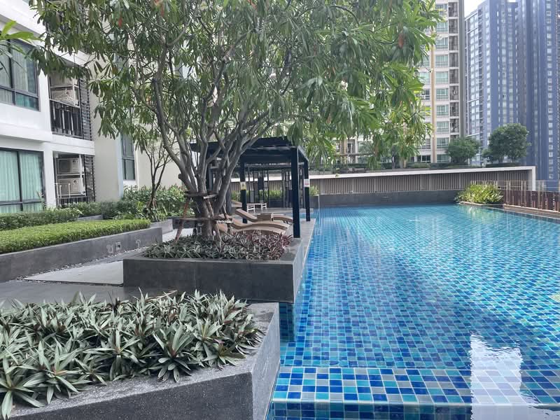 Artemis Sukhumvit 77 : อาร์ทิมิส สุขุมวิท 77, กรุงเทพ, 418 ถนนสุขุมวิท 77, สวนหลวง, สวนหลวง, กรุงเทพ, 27 ตร.ม., คอนโด ให้เช่า, โดย ณัฏฐพัชร ชโยทิตกุลเกียรติ, 11799361 - DDproperty.com