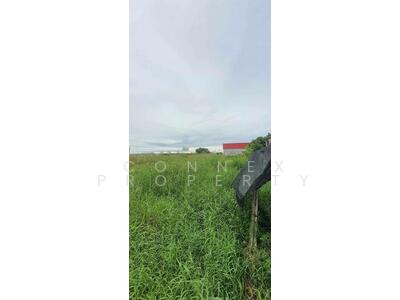 ขาย - Vacant land in front of Thai Watsadu, Siri Sothon Road ที่ดินเปล่า หน้าห้างไทวัสดุ สิริโสธร, ฉะเชิงเทรา