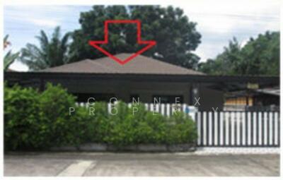 ขาย - บ้านธรรมชาติ รังสิต - คลอง 8 : Baan Thammachad Rangsit - Klong 8, ปทุมธานี