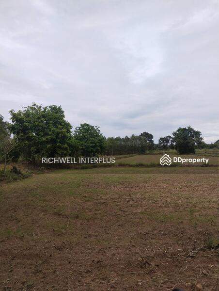For Sale - Land for sale at Kaeng Dinso, Nadi area 8 rai, Soi Talat,, Prachin Buri