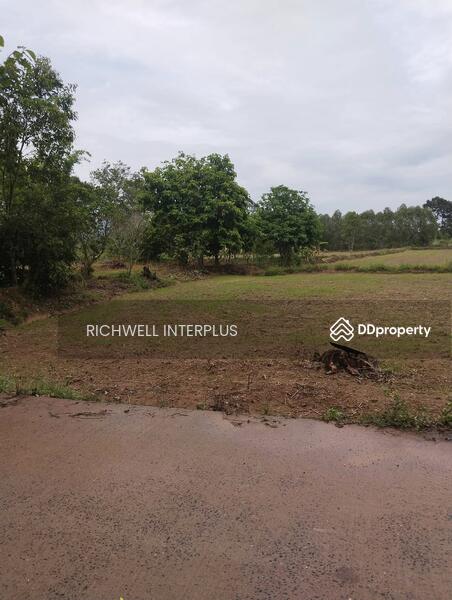 For Sale - Land for sale at Kaeng Dinso, Nadi area 8 rai, Soi Talat,, Prachin Buri