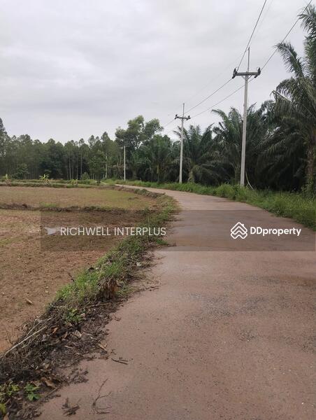 For Sale - Land for sale at Kaeng Dinso, Nadi area 8 rai, Soi Talat,, Prachin Buri