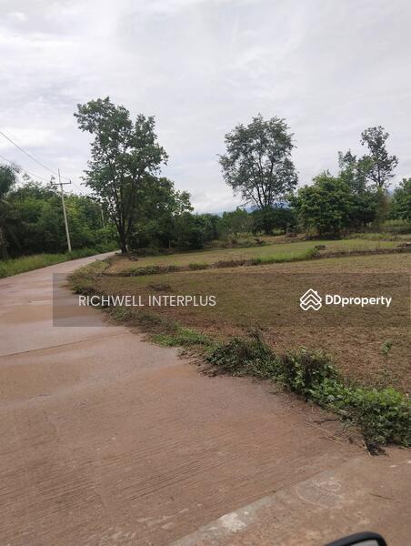 For Sale - Land for sale at Kaeng Dinso, Nadi area 8 rai, Soi Talat,, Prachin Buri