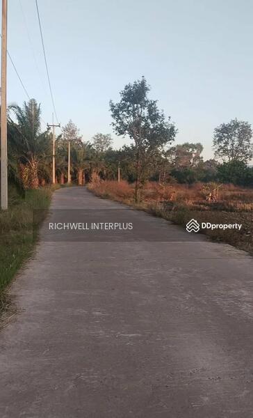 For Sale - Land for sale at Kaeng Dinso, Nadi area 8 rai, Soi Talat,, Prachin Buri