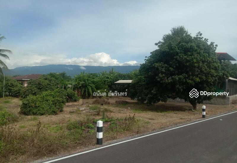 For Sale - เชียงใหม่, Chiang Mai