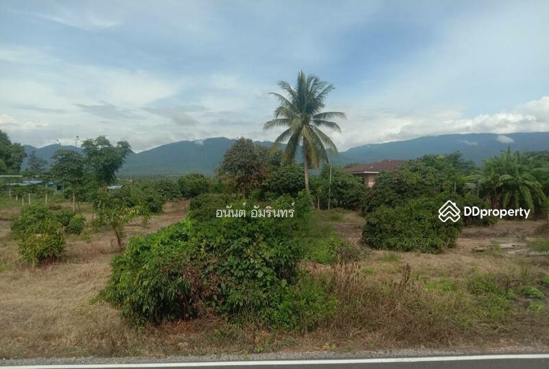 For Sale - เชียงใหม่, Chiang Mai