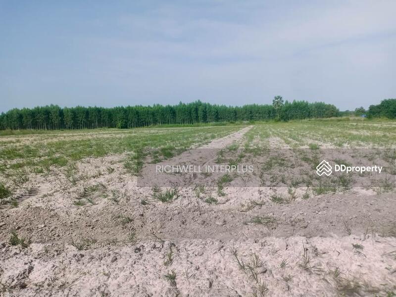 For Sale - Land for sale, Gateway Huasamrong, 25 rai, near four-lane road 331-300 meters,, Chachoengsao
