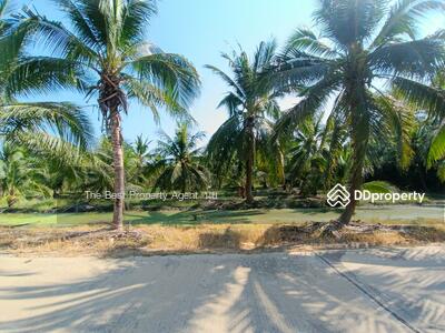 ขาย - ที่ดินนางตะเคียน สมุทรสงคราม, สมุทรสงคราม