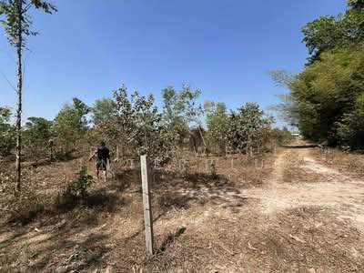 ขาย - ขายที่ดินนนทรีติดฟาร์มไก่เนื้อที่ 12 ไร่ บ้านโคกสว่าง ใกล้ถนนเส้นสุวรรณศร33 - 3 กม., ปราจีนบุรี