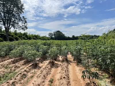 ขาย - ขายที่ดินวังตะเคียน 12 ไร่ ขายไร่ละ195,000บาท ซอยโรงเรียนบ้านคลองระกำ, ปราจีนบุรี