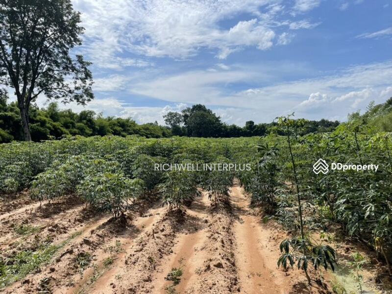 For Sale - Land for sale in Wang Takhian, 12 rai, 195,000 baht per rai, Soi Ban Khlong Rakam School, Prachin Buri