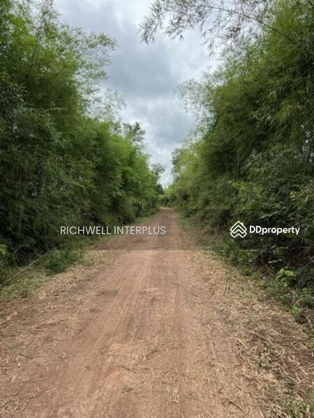 For Sale - Land for sale in Wang Takhian, 103 rai, 150,000 baht per rai, next to the canal,, Prachin Buri