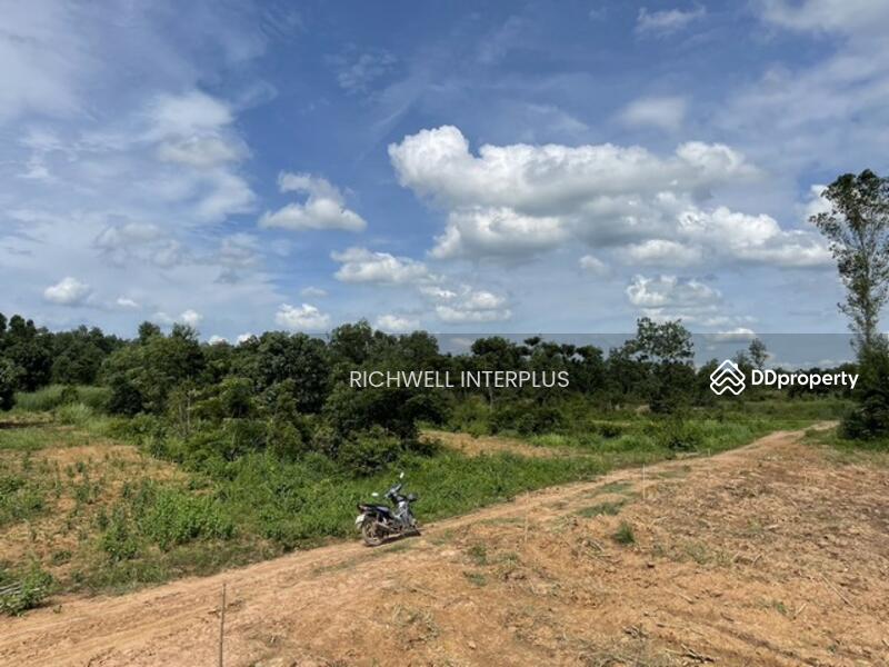For Sale - Land for sale in Wang Takhian, 103 rai, 150,000 baht per rai, next to the canal,, Prachin Buri