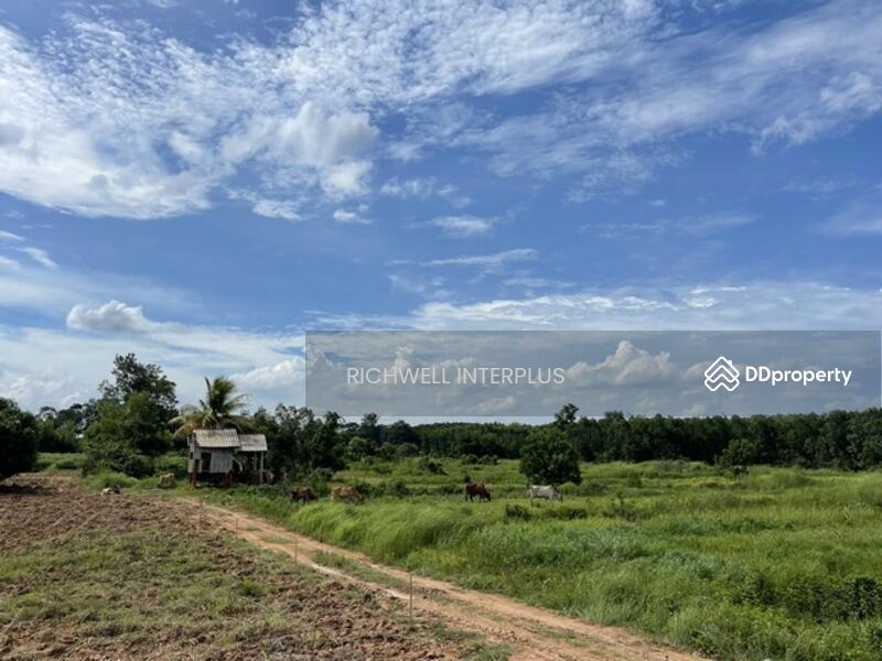 For Sale - Land for sale in Wang Takhian, 103 rai, 150,000 baht per rai, next to the canal,, Prachin Buri