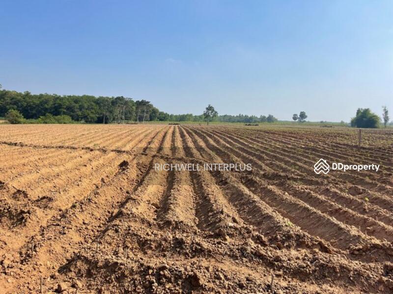 For Sale - Land for sale in Wang Takhian, 103 rai, 150,000 baht per rai, next to the canal,, Prachin Buri