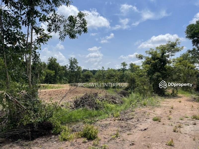 For Sale - Land for sale in Wang Takhian, 103 rai, 150,000 baht per rai, next to the canal,, Prachin Buri