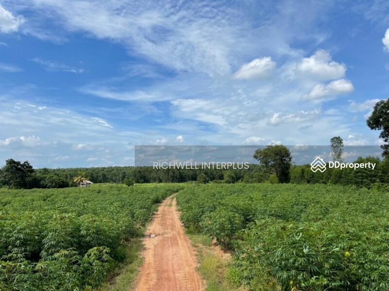 For Sale - Land for sale in Wang Takhian, 103 rai, 150,000 baht per rai, next to the canal,, Prachin Buri