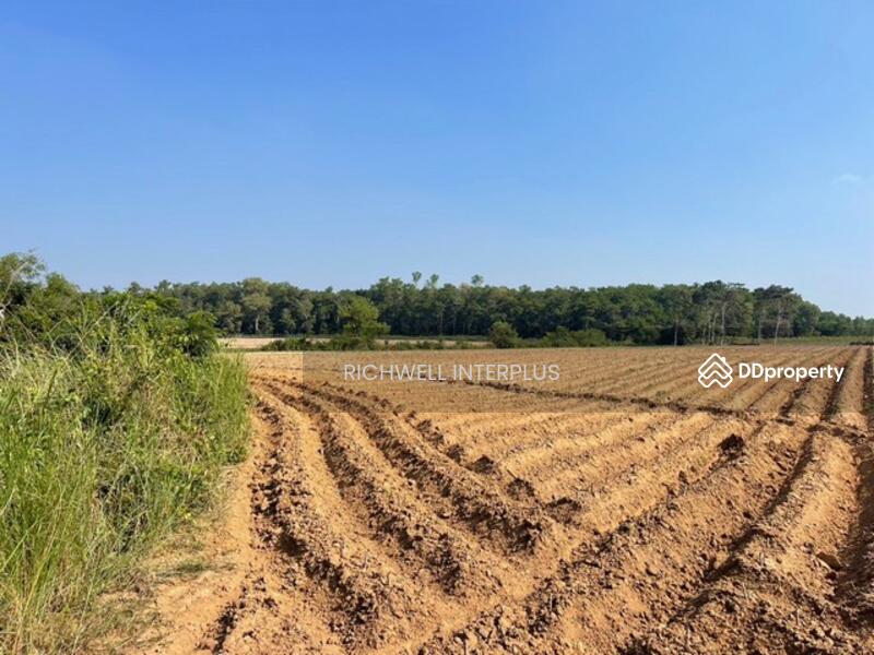 For Sale - Land for sale in Wang Takhian, 103 rai, 150,000 baht per rai, next to the canal,, Prachin Buri