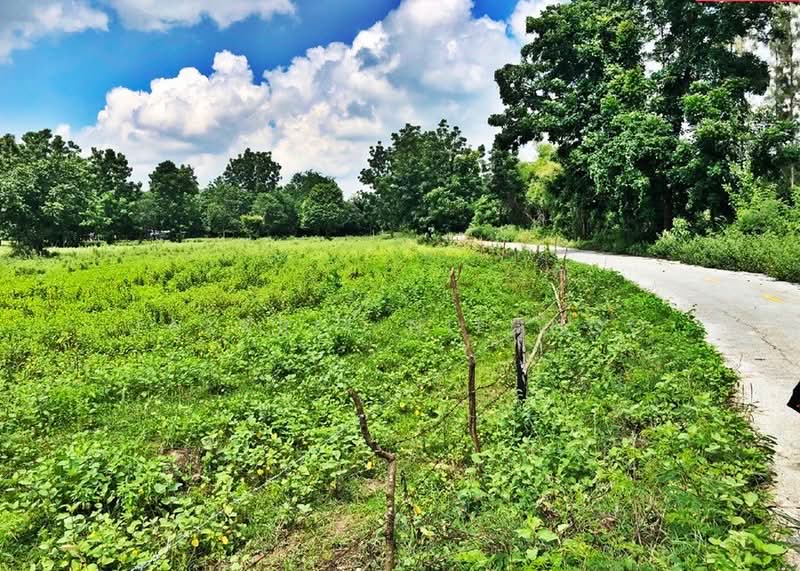 ที่ดิน อำเภอชะอำ เพชรบุรี, เพชรบุรี, สามพระยา, ชะอำ, เพชรบุรี, 15,592 ตร.ม., ที่ดิน ขาย, โดย Jakkrit Nilchoo, 11801679 - DDproperty.com