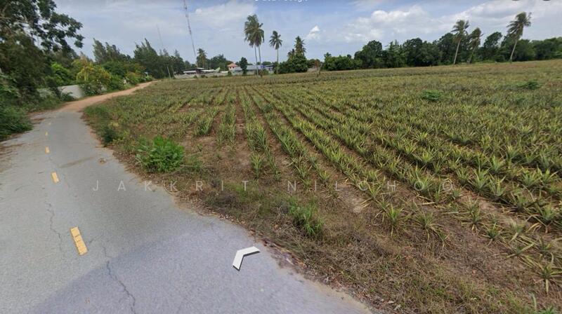 ที่ดิน อำเภอชะอำ เพชรบุรี, เพชรบุรี, สามพระยา, ชะอำ, เพชรบุรี, 15,592 ตร.ม., ที่ดิน ขาย, โดย Jakkrit Nilchoo, 11801679 - DDproperty.com