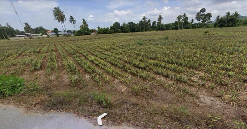 ที่ดิน อำเภอชะอำ เพชรบุรี, เพชรบุรี, สามพระยา, ชะอำ, เพชรบุรี, 15,592 ตร.ม., ที่ดิน ขาย, โดย Jakkrit Nilchoo, 11801679 - DDproperty.com