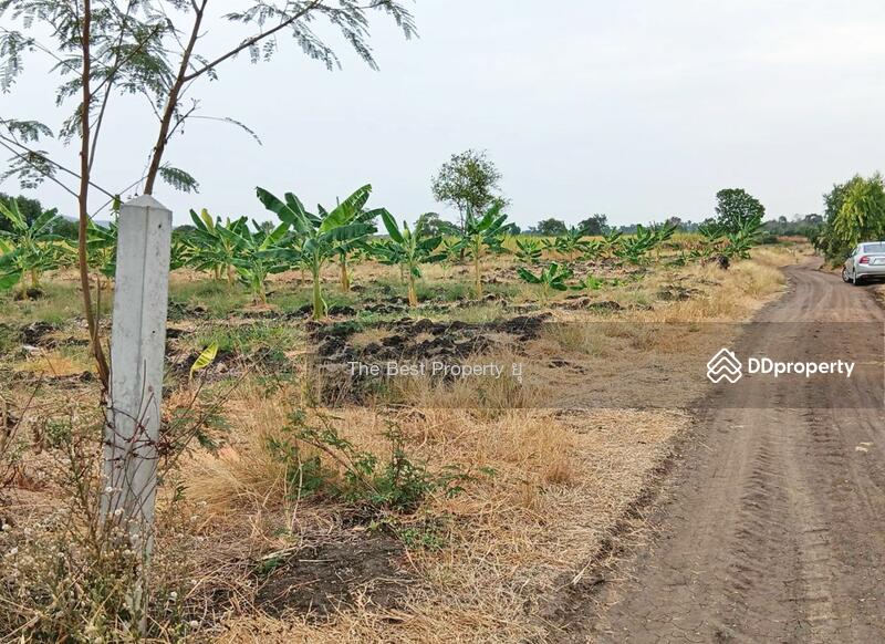 For Sale - ที่ดินประโคนชัย บุรีรัมย์, Buri Ram