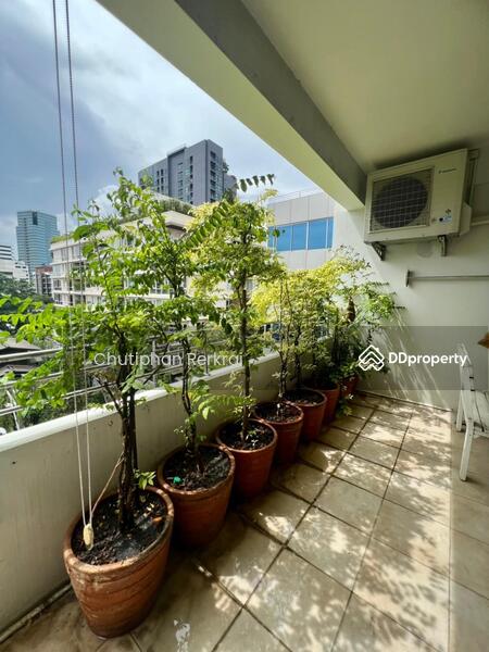 ให้เช่า - Aree Place Phahonyothin : อารีย์ เพลส พหลโยธิน, กรุงเทพ
