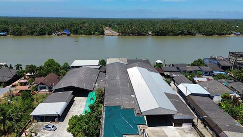 ขาย กิจการแพปลา พร้อมบ้านพักอยู่อาศัย สุราษฎร์ธานี, สุราษฎร์ธานี, ตลาดล่าง, บางกุ้ง, เมืองสุราษฎร์ธานี, สุราษฎร์ธานี, 2,948 ตร.ม., กิจการ ขาย, โดย Sorawee Chueninatthabodee, 11802029 - DDproperty.com