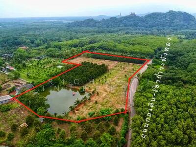 ขาย - ขายที่ดินพร้อมสวนทุเรียน-มังคุด ซอยวัดกองดินเนื้อที่ 10 ไร่ ที่สวยหน้าติดถนนลาดยาง160เมตร, ระยอง