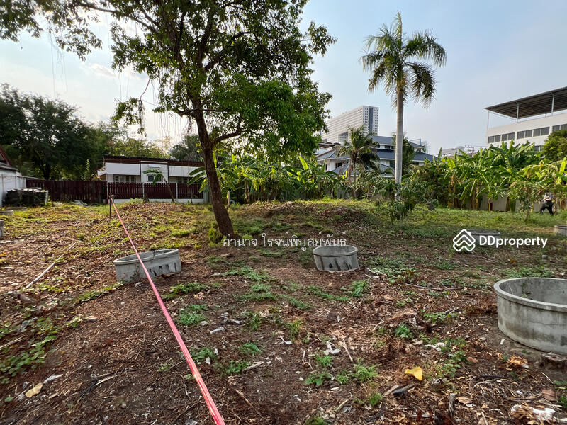 ที่ดินแปลงใหญ่ บรรยากาศสงบ ต้นไม้ใหญ่หลายต้น