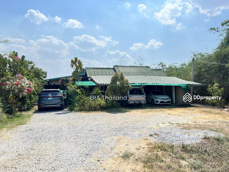 ขาย - ขายบ้านสวน เนื้อที่ 4ไร่ 1 งาน 78.5 ตร.ว. ใกล้ คลองชลประธาน, ขอนแก่น