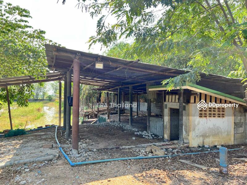ขาย - ขายบ้านสวน เนื้อที่ 4ไร่ 1 งาน 78.5 ตร.ว. ใกล้ คลองชลประธาน, ขอนแก่น