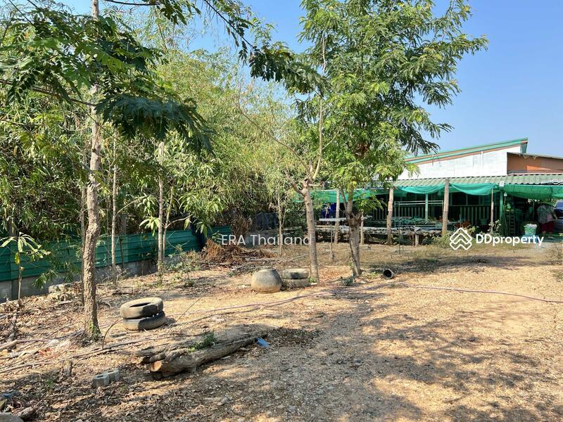 ขาย - ขายบ้านสวน เนื้อที่ 4ไร่ 1 งาน 78.5 ตร.ว. ใกล้ คลองชลประธาน, ขอนแก่น