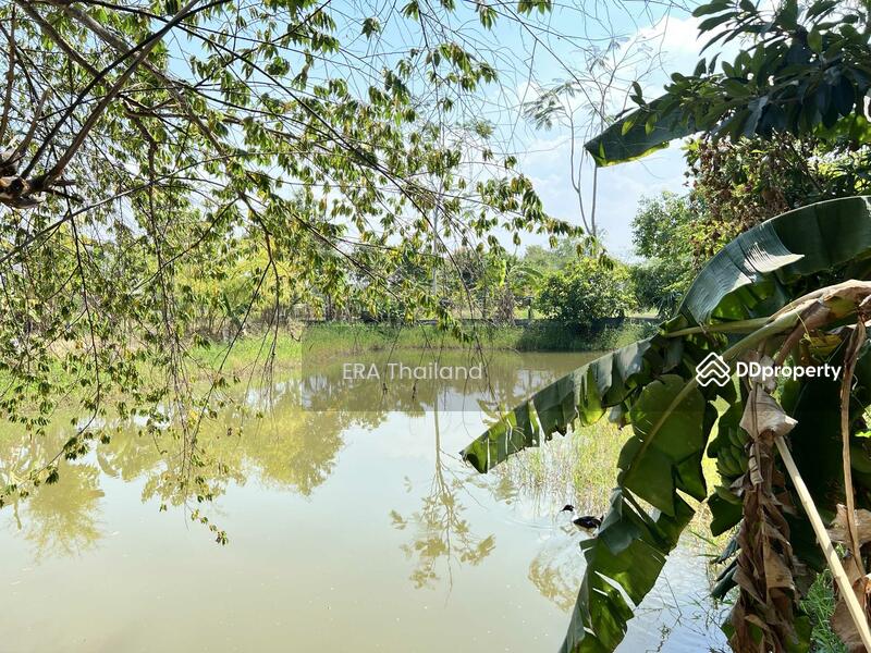 ขาย - ขายบ้านสวน เนื้อที่ 4ไร่ 1 งาน 78.5 ตร.ว. ใกล้ คลองชลประธาน, ขอนแก่น