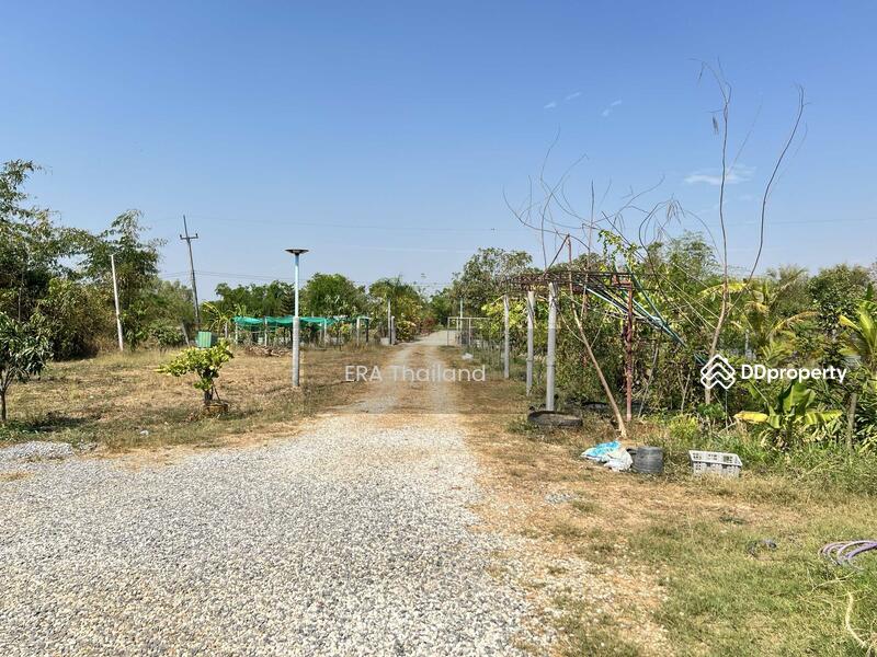 ขาย - ขายบ้านสวน เนื้อที่ 4ไร่ 1 งาน 78.5 ตร.ว. ใกล้ คลองชลประธาน, ขอนแก่น