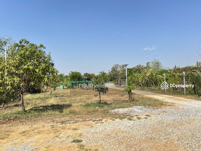 ขาย - ขายบ้านสวน เนื้อที่ 4ไร่ 1 งาน 78.5 ตร.ว. ใกล้ คลองชลประธาน, ขอนแก่น