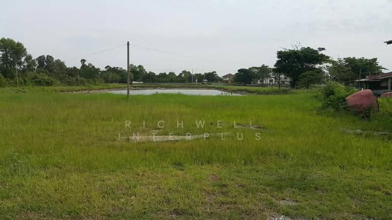 Land for sale in Nong Chok, 10 rai, filled and fenced, near Si Racha Road 314, Chachoengsao, Nong Chok, Bang Pakong, Chachoengsao, , 16,000 sqm, Land For Sale, by RICHWELL INTERPLUS, 11803523 - DDproperty.com