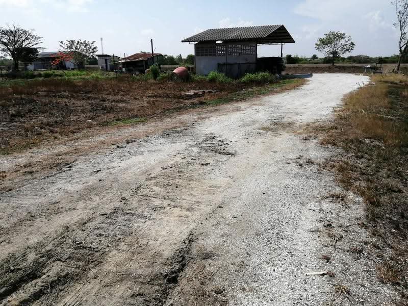Land for sale in Nong Chok, 10 rai, filled and fenced, near Si Racha Road 314, Chachoengsao, Nong Chok, Bang Pakong, Chachoengsao, , 16,000 sqm, Land For Sale, by RICHWELL INTERPLUS, 11803523 - DDproperty.com