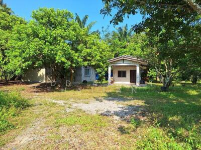 ขาย - ขายที่ดินพร้อมบ้าน ตำบลตะโก ทุ่งตะโก ชุมพร ใกล้สวนนายดำ ที่ดินแปลงสวย ติดถนน รหัส : L8040, ชุมพร